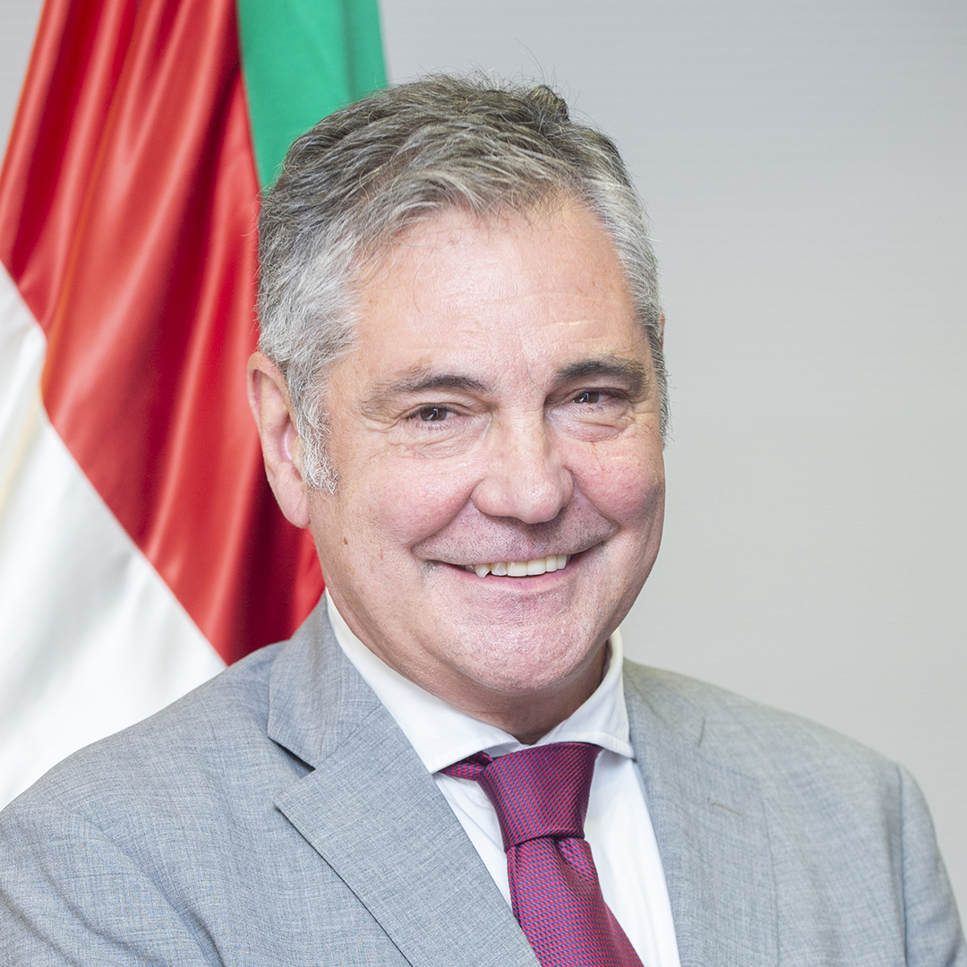 Alfonso Gurpegui Ruiz